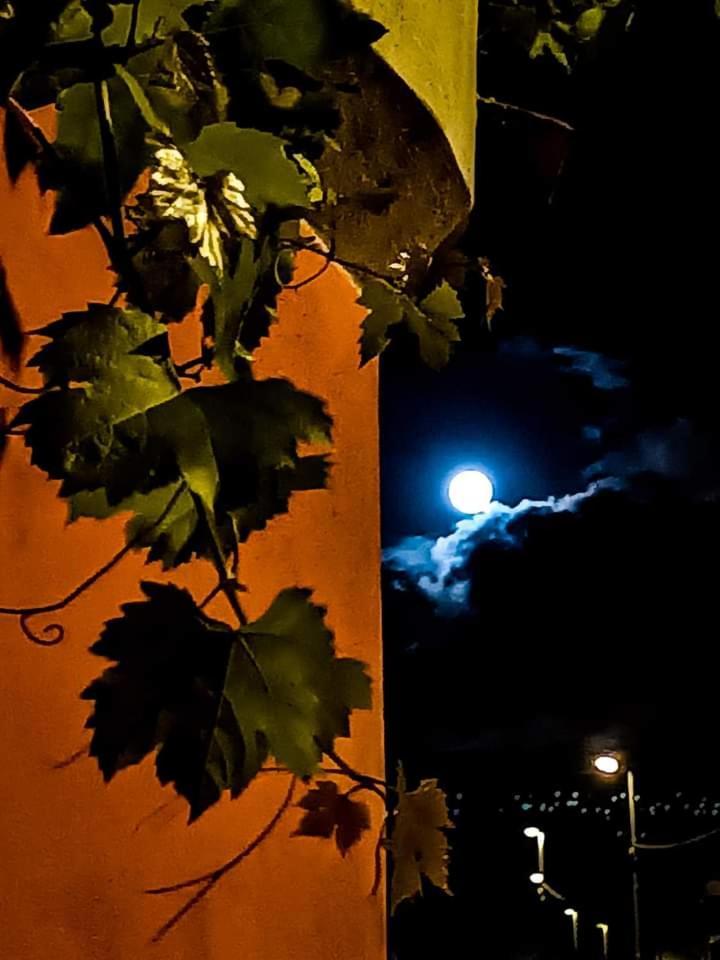 B&B Vigna Grande Agropoli Εξωτερικό φωτογραφία
